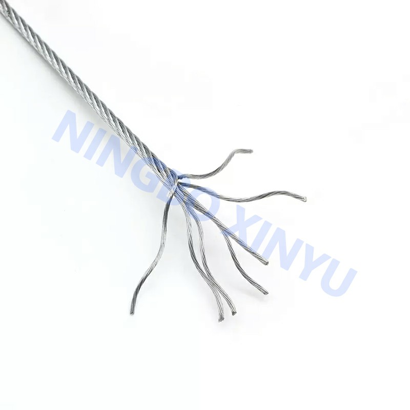 DIN3055 Galvanized Steel Core Stranded Wire